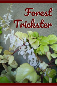 Forest Trickster
