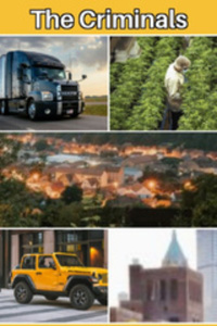 The Criminals (Completed)