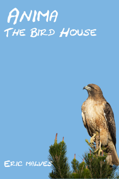 Anima: The Bird House
