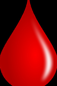 Blood Tribute Gacha in Another World