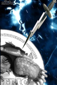 The Thundering Tortoise Trio