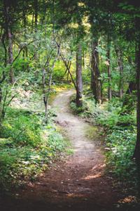 The Road Less Traveled