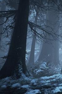 The Sentinel