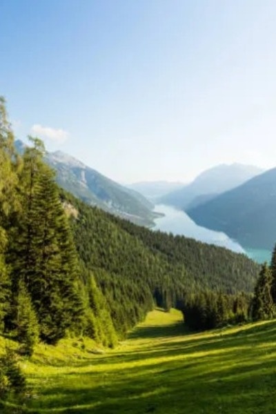 The Cost Of Our Connections: A Pokémon Journey